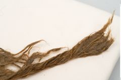 Foto von Textil (NHMW-PRAE-126294)